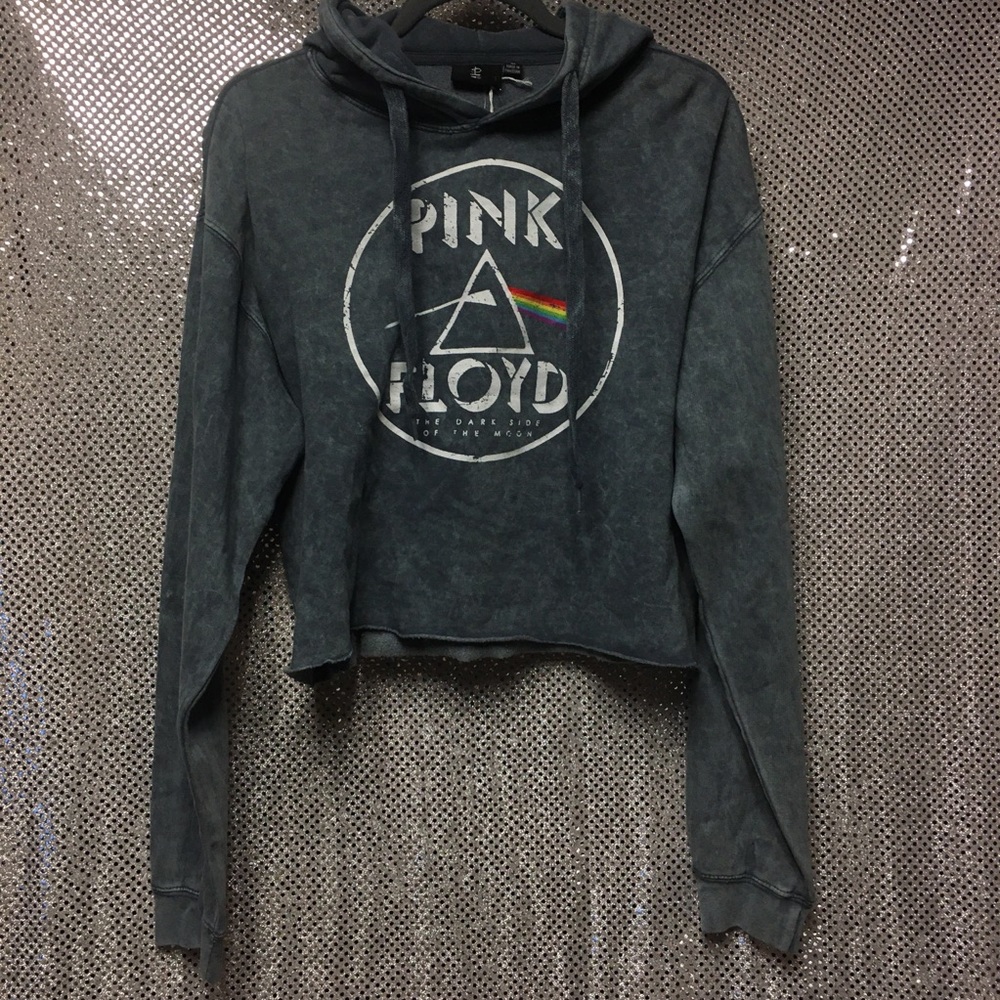Pink Floyd- Dark Side of the Moon cropped hoodie